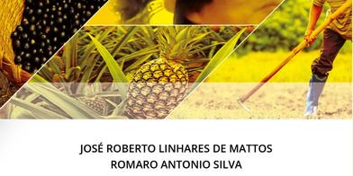 Etnomatemáticas Em Vários Contextos