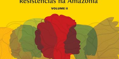 Direitos Humanos Das Mulheres Plra Vol 2